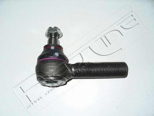 Tie Rod End (40NI040)
