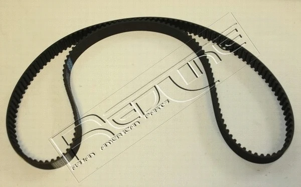 Timing Belt (29CV002)
