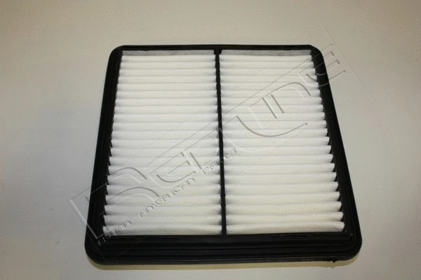 Air Filter (36DW019)