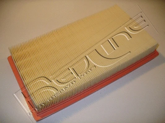 Air Filter (36MZ020)
