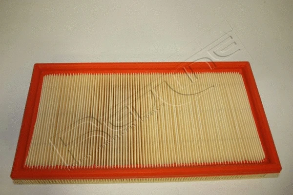 Air Filter (36TA001)