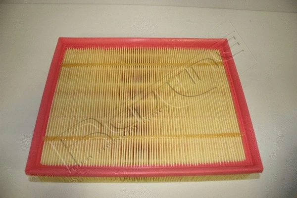 Air Filter (36DG009)