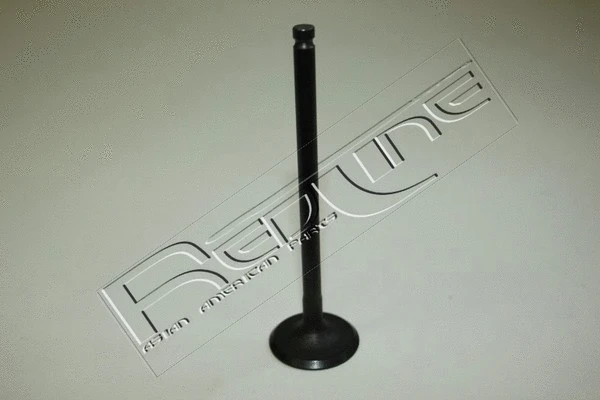 Intake Valve (15NI006)