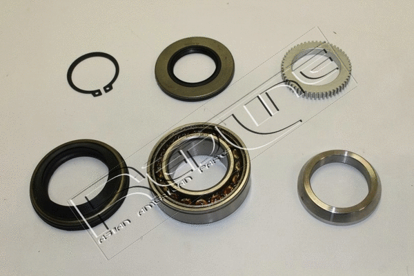 Wheel Bearing Kit (24NI040)