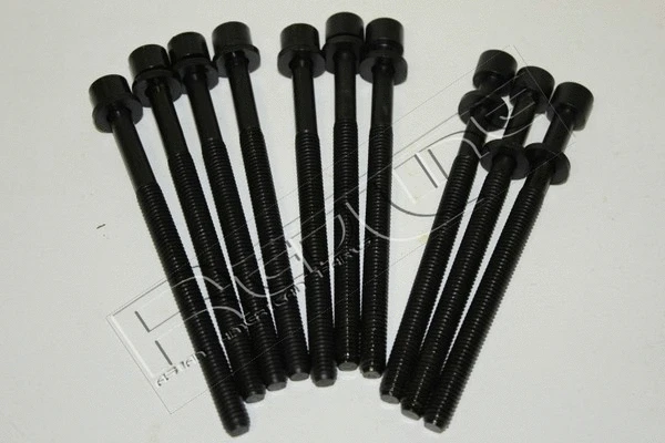 Cylinder Head Bolt Set (00HY037)