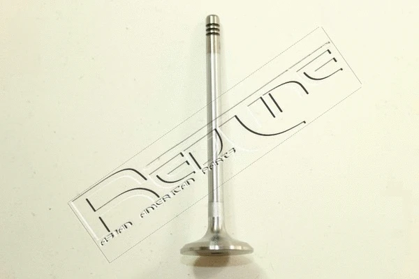 Intake Valve (15RV012)