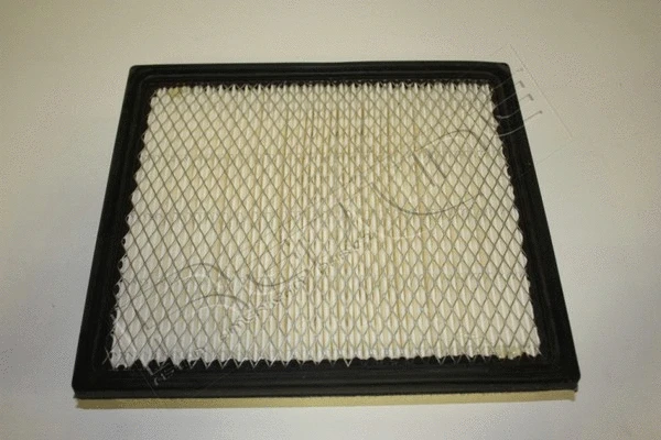 Air Filter (36CH003)