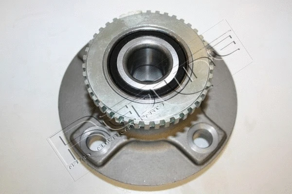 Wheel Hub (24NI035)