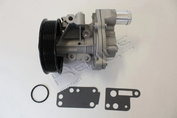 Water Pump, engine cooling (28RV024)