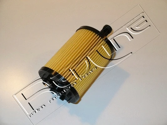 Oil Filter (38DG001)
