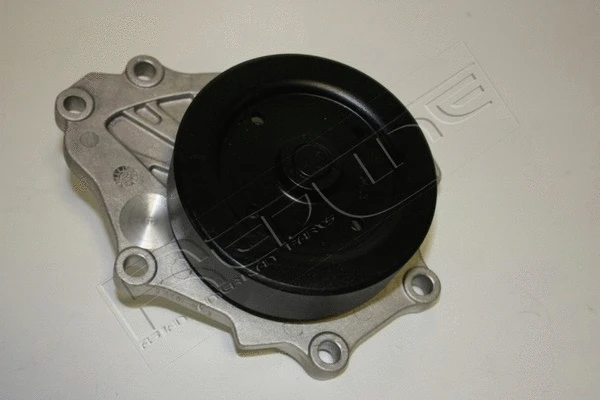 Water Pump, engine cooling (28TO030)
