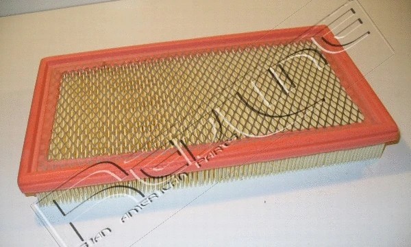 Air Filter (36MZ018)