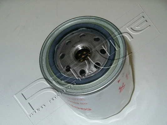 Oil Filter (38RV000)