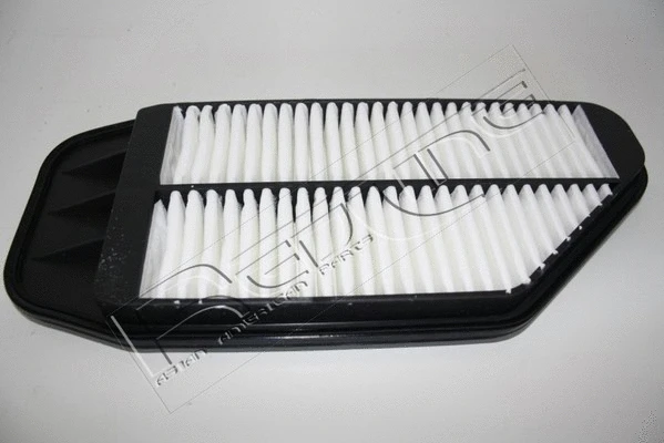 Air Filter (36CV036)