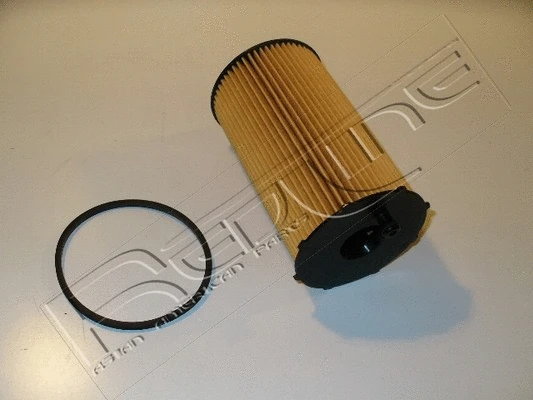 Oil Filter (38RV007)
