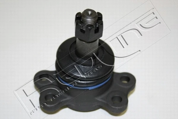 Ball Joint (40IZ002)