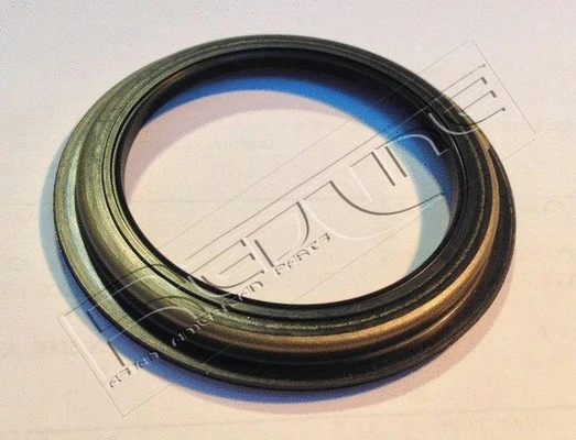 Shaft Seal, wheel hub