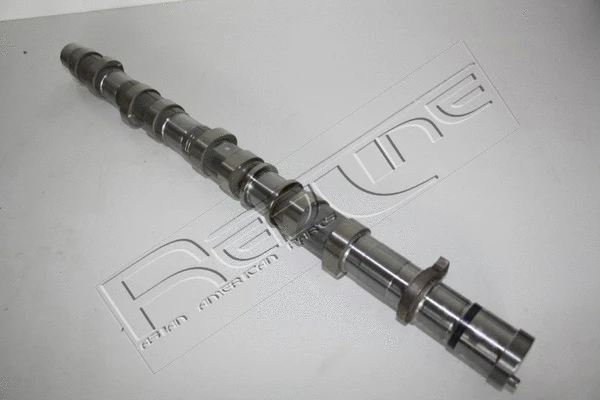 Camshaft (16KI001)