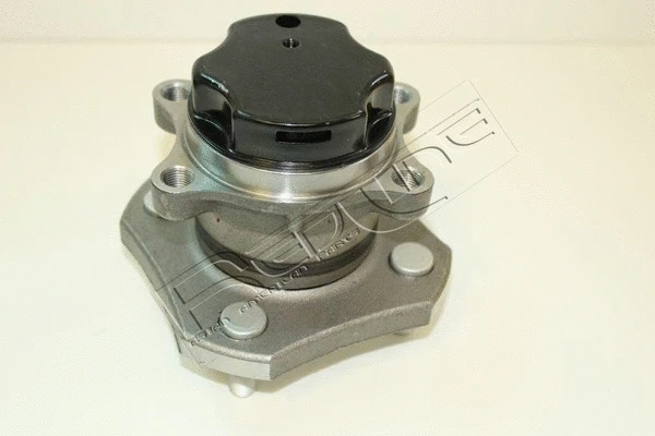 Wheel Hub (24NI055)