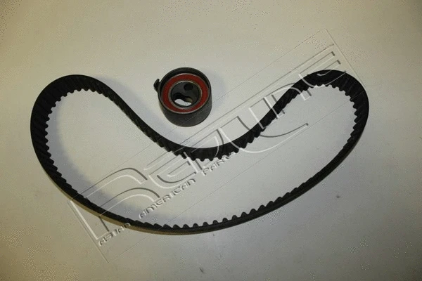 Timing Belt Kit (30MZ014)