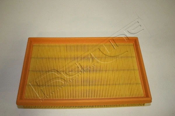 Air Filter (36MZ017)