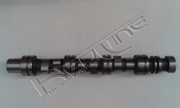 Camshaft (16DW000)