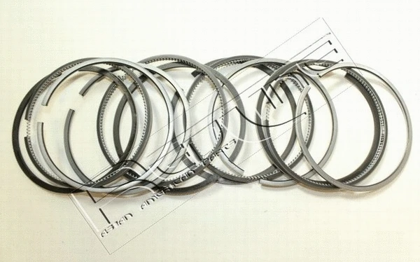 Piston Ring Kit (04TO008)