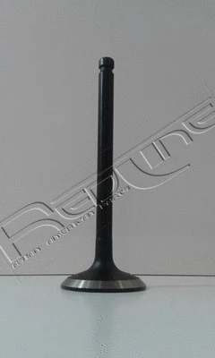 Intake Valve (15TO012)