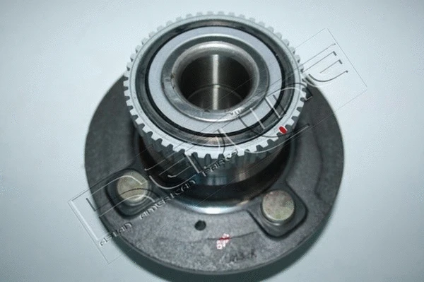 Wheel Hub (24DW017)