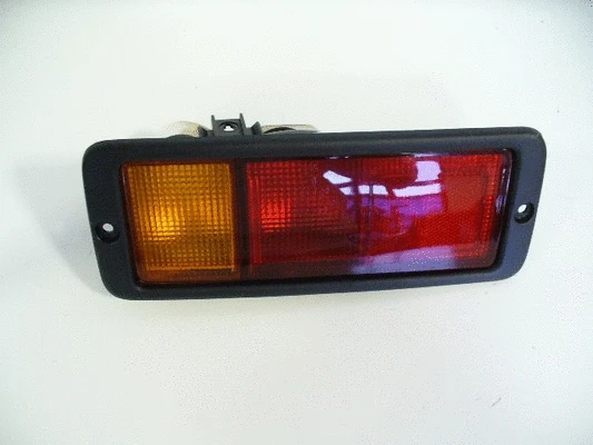 Tail Light Assembly (103MI002)