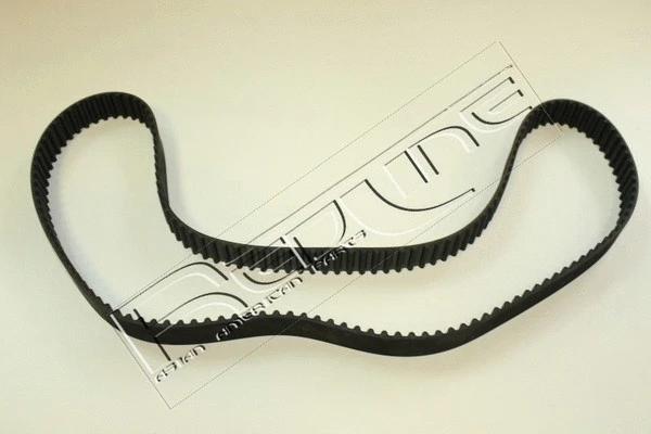Timing Belt (29KI019)