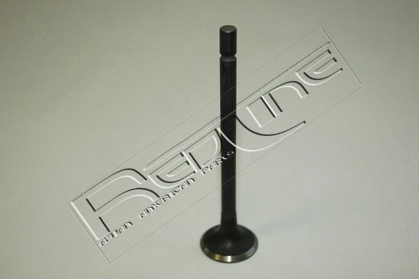 Exhaust Valve (15HY013)