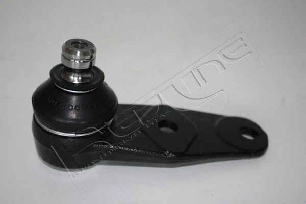 Ball Joint (40NI085)