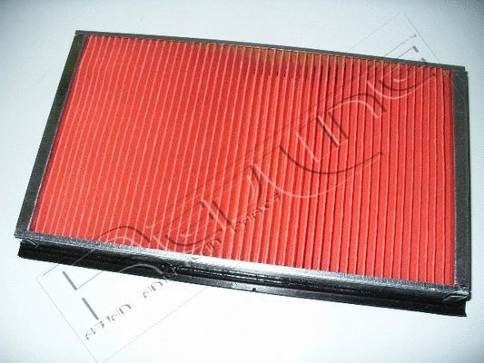 Air Filter (36IF000)