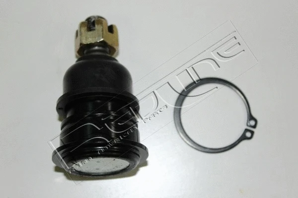 Ball Joint (40NI157)