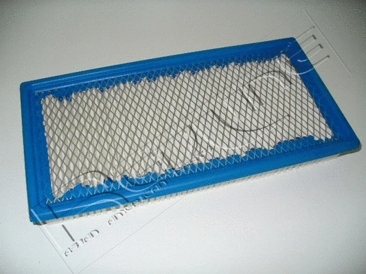 Air Filter (36DG003)