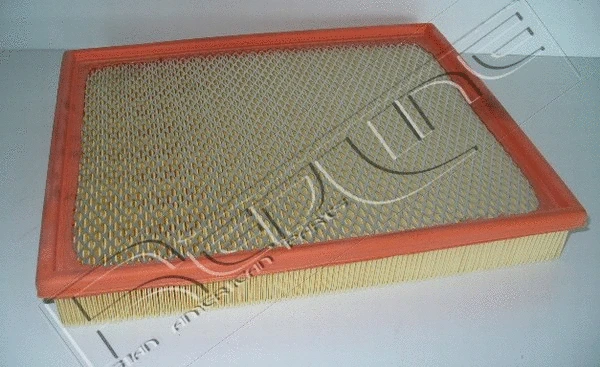 Air Filter (36NI025)
