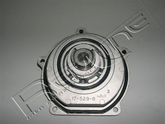 Water Pump, engine cooling (28RV008)