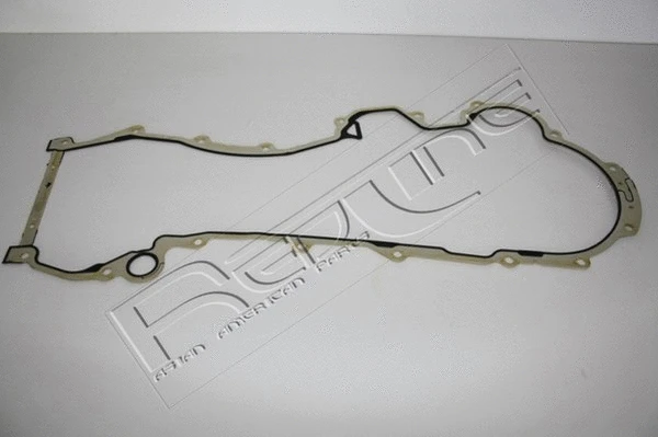 Gasket, timing case (34SZ021)