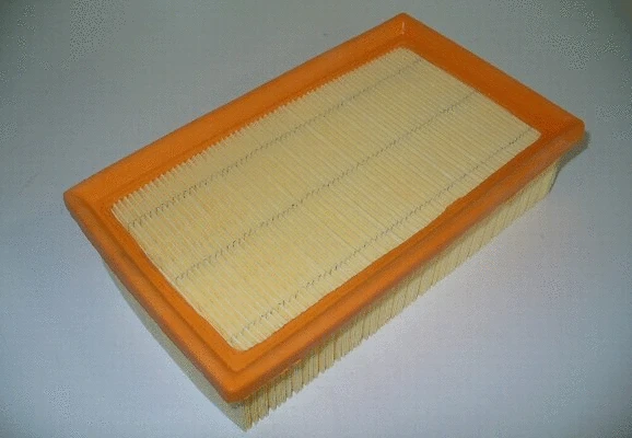 Air Filter (36NI037)