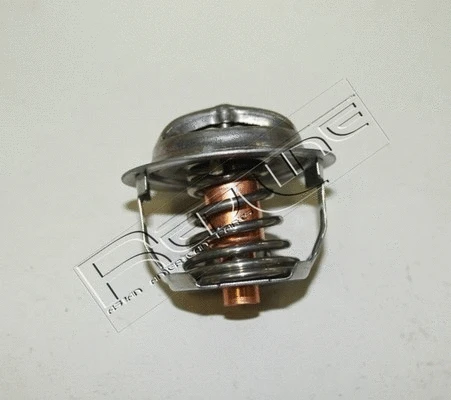 Thermostat, coolant (55SU000)