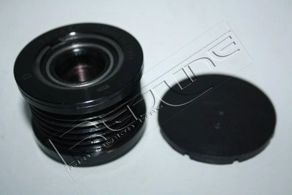 Alternator Freewheel Clutch (69NI001)