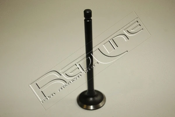 Exhaust Valve (15SZ008)