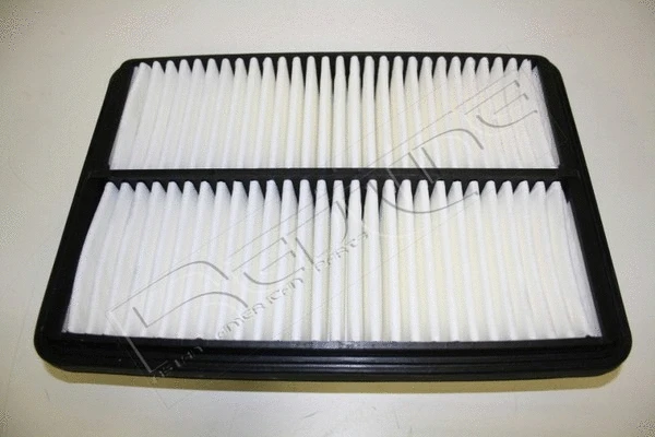 Air Filter (36GW001)
