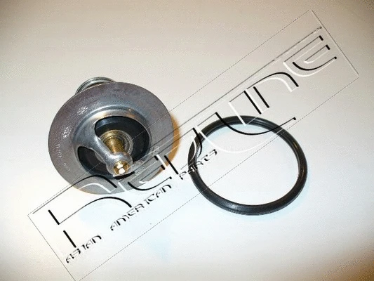 Thermostat, coolant (55MI001)