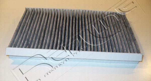 Filter, cabin air (36RV011)