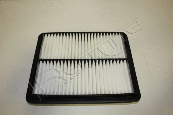Air Filter (36DW020)