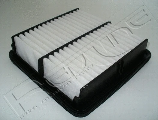 Air Filter (36SZ005)