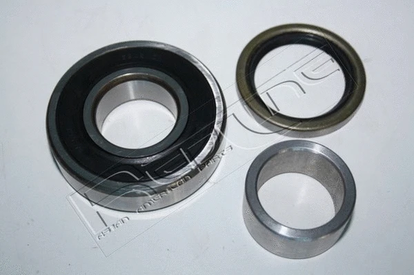 Wheel Bearing Kit (24NI031)