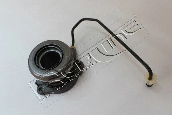 Central Slave Cylinder, clutch (25CV036)